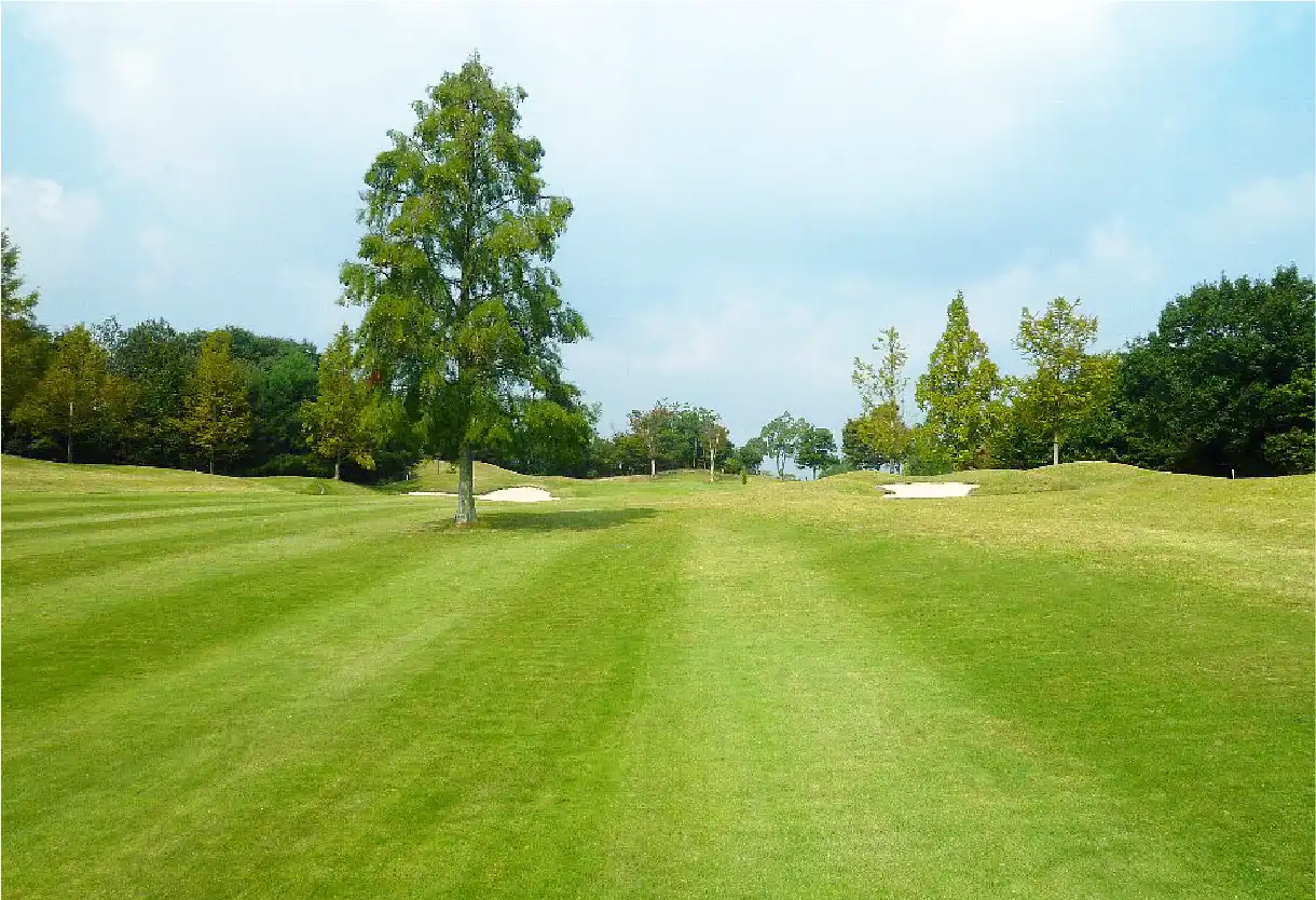 宇治コースイメージ画像