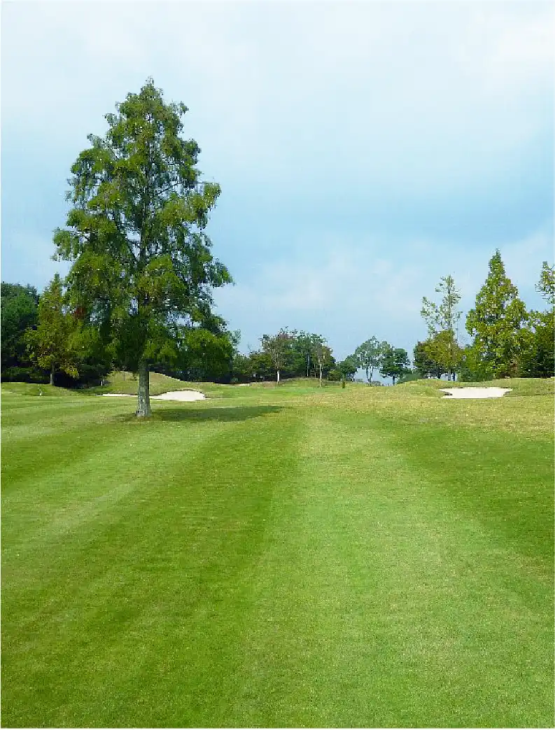 宇治コースイメージ画像